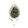 Té Verde China Sencha